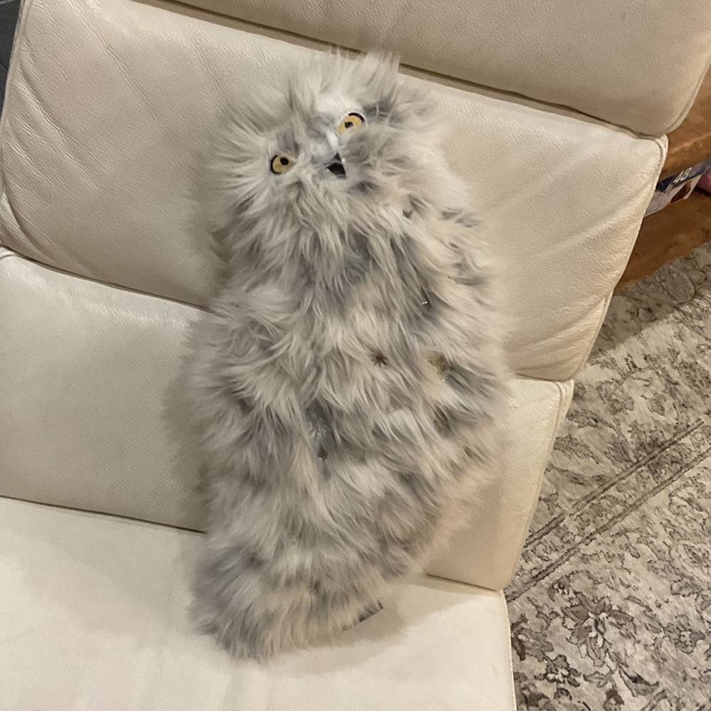 Hedwig Stuffie